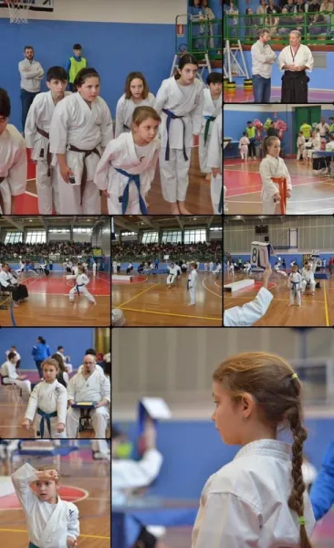 Bambini Cinture Colorate – Saletto, foto 23