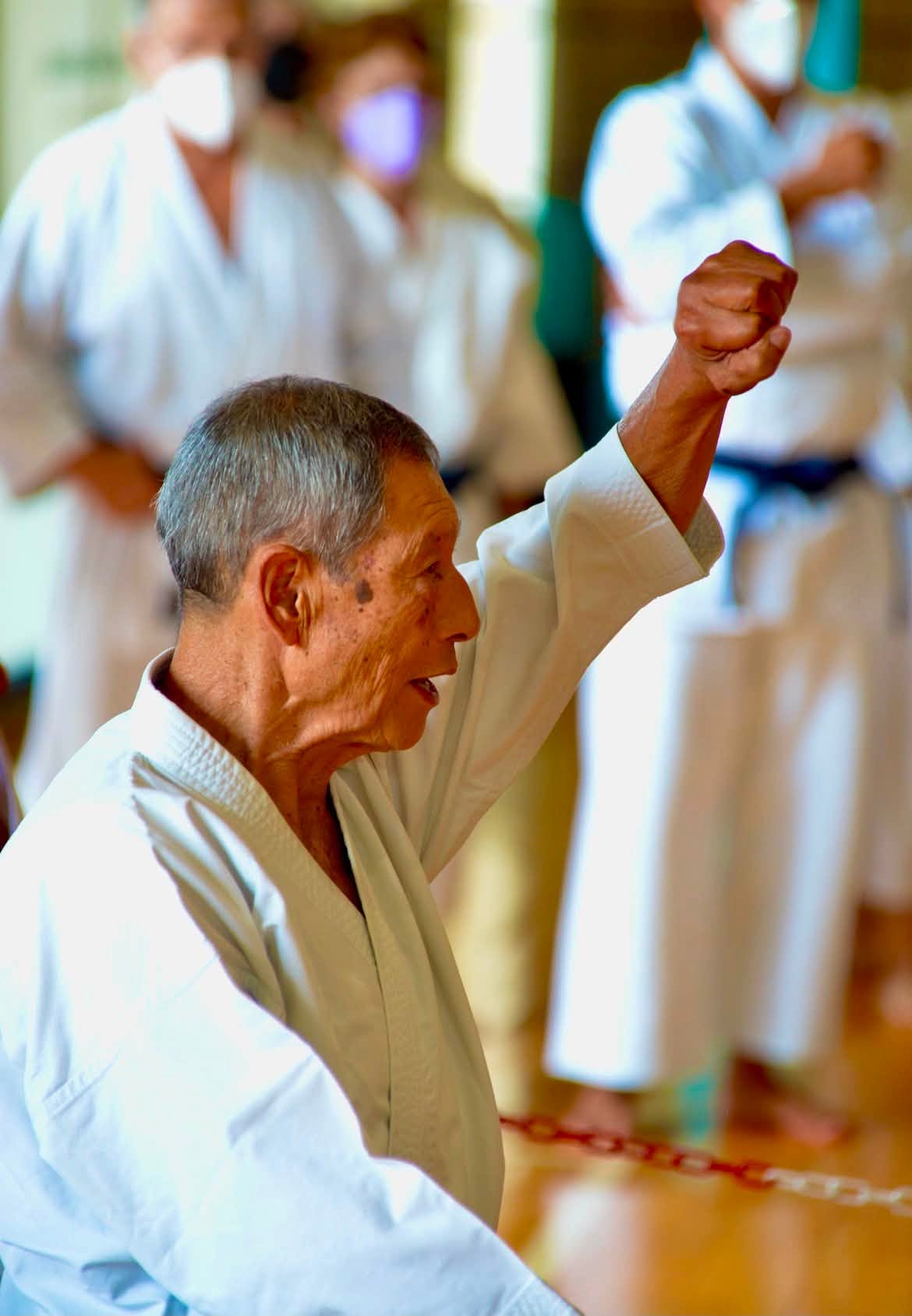 Auguri Maestro: il Ki Kai Dojo ricorda Hiroshi Shirai – foto 6